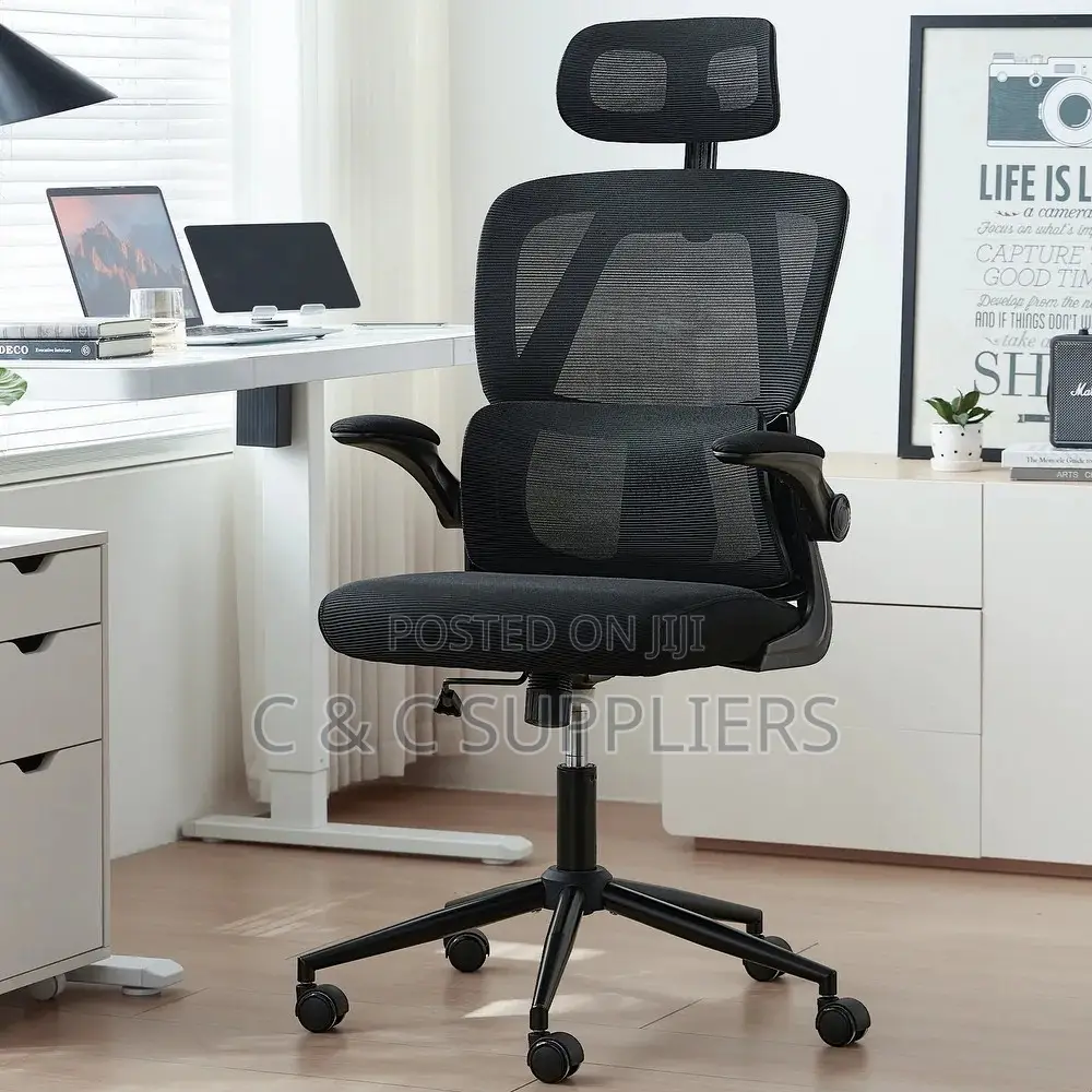 High Back Ergonomic Mesh Office Chair