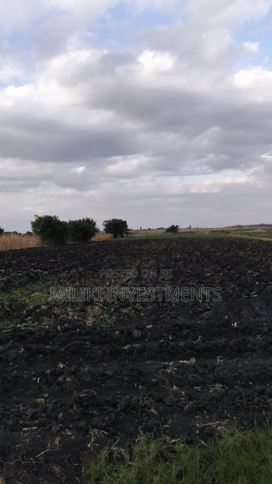 7 Acres of Land on Sale at Kirinyaga-Rukanga