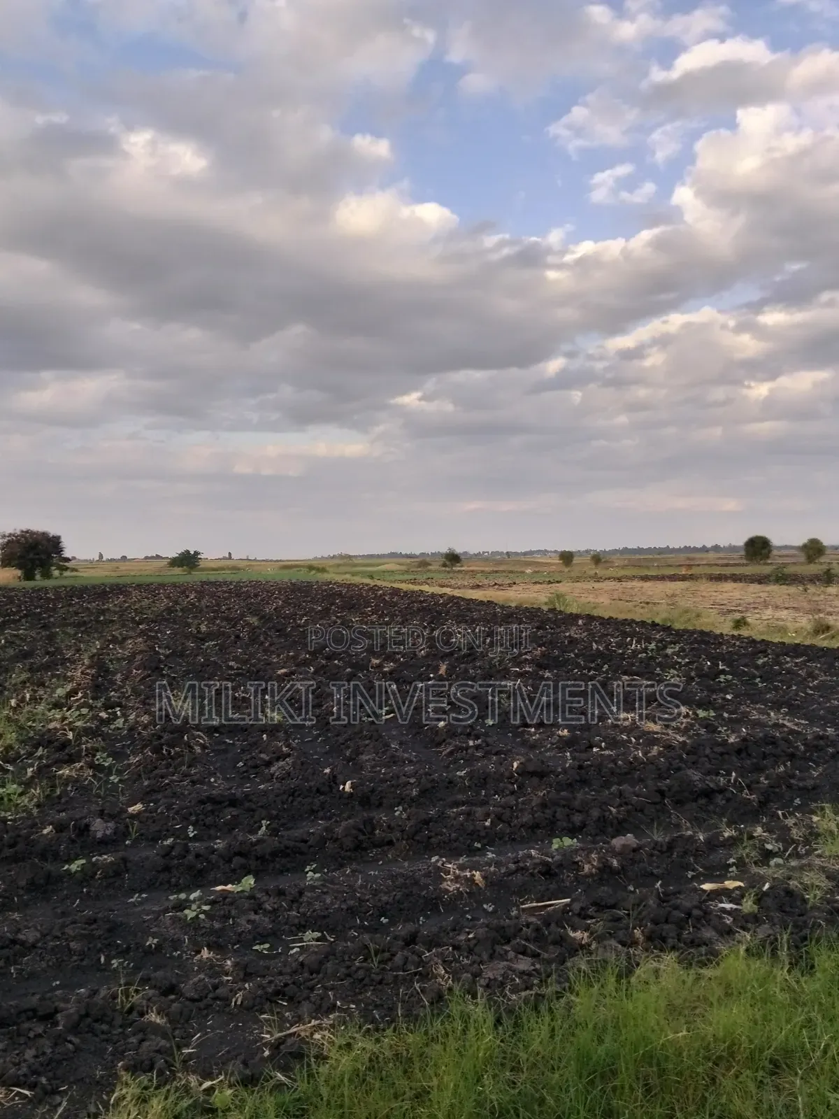 7 Acres of Land on Sale at Kirinyaga-Rukanga
