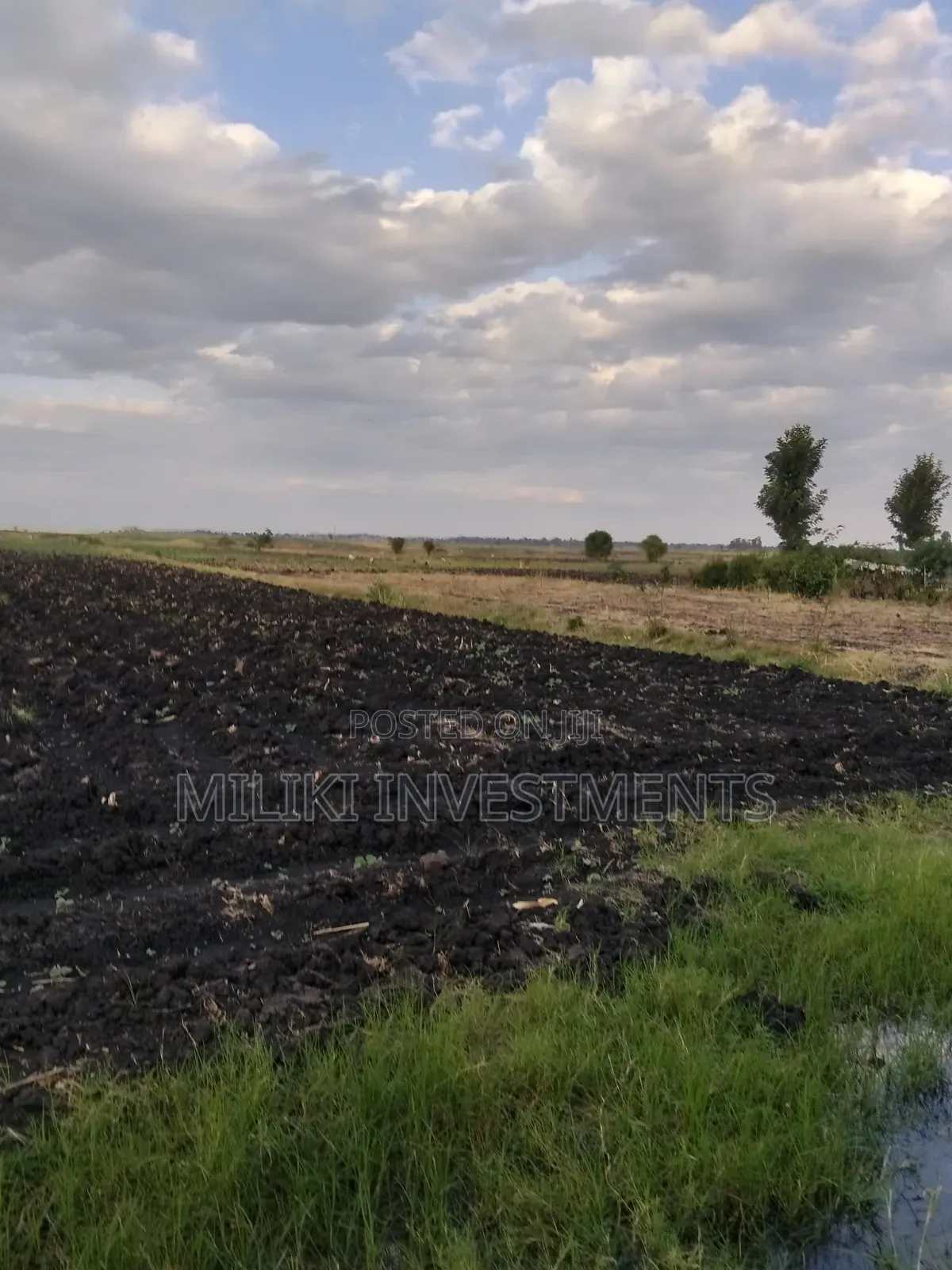 7 Acres of Land on Sale at Kirinyaga-Rukanga