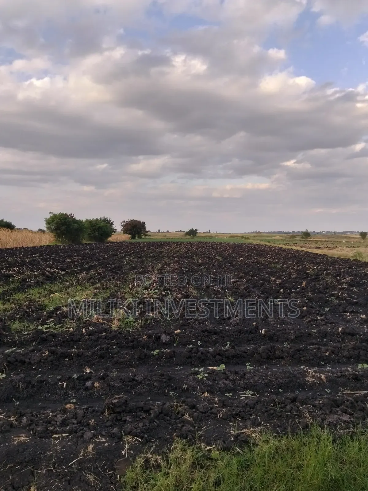 7 Acres of Land on Sale at Kirinyaga-Rukanga