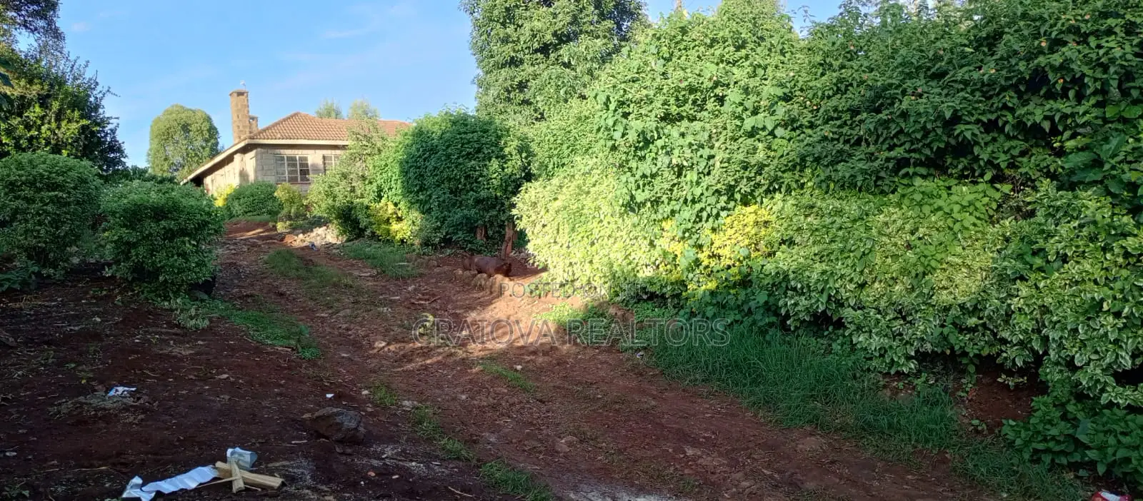 1.2 Acres for Sale
