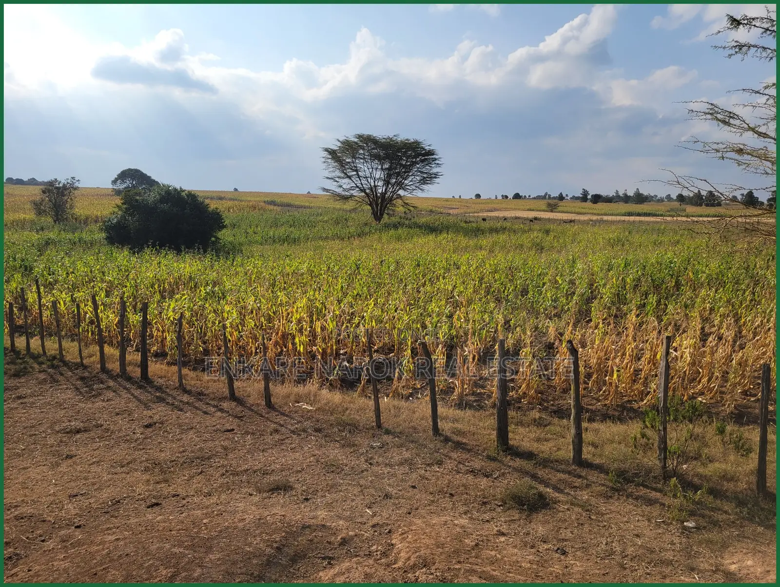 10 Acres of Fenced Agricultural Land for Sale in Olorroito, Narok