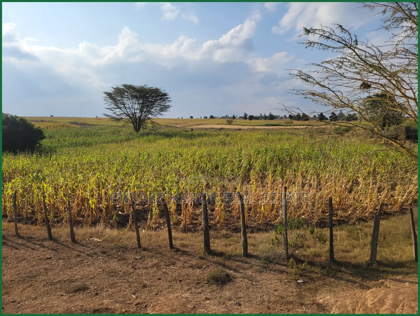 10 Acres of Fenced Agricultural Land for Sale in Olorroito, Narok
