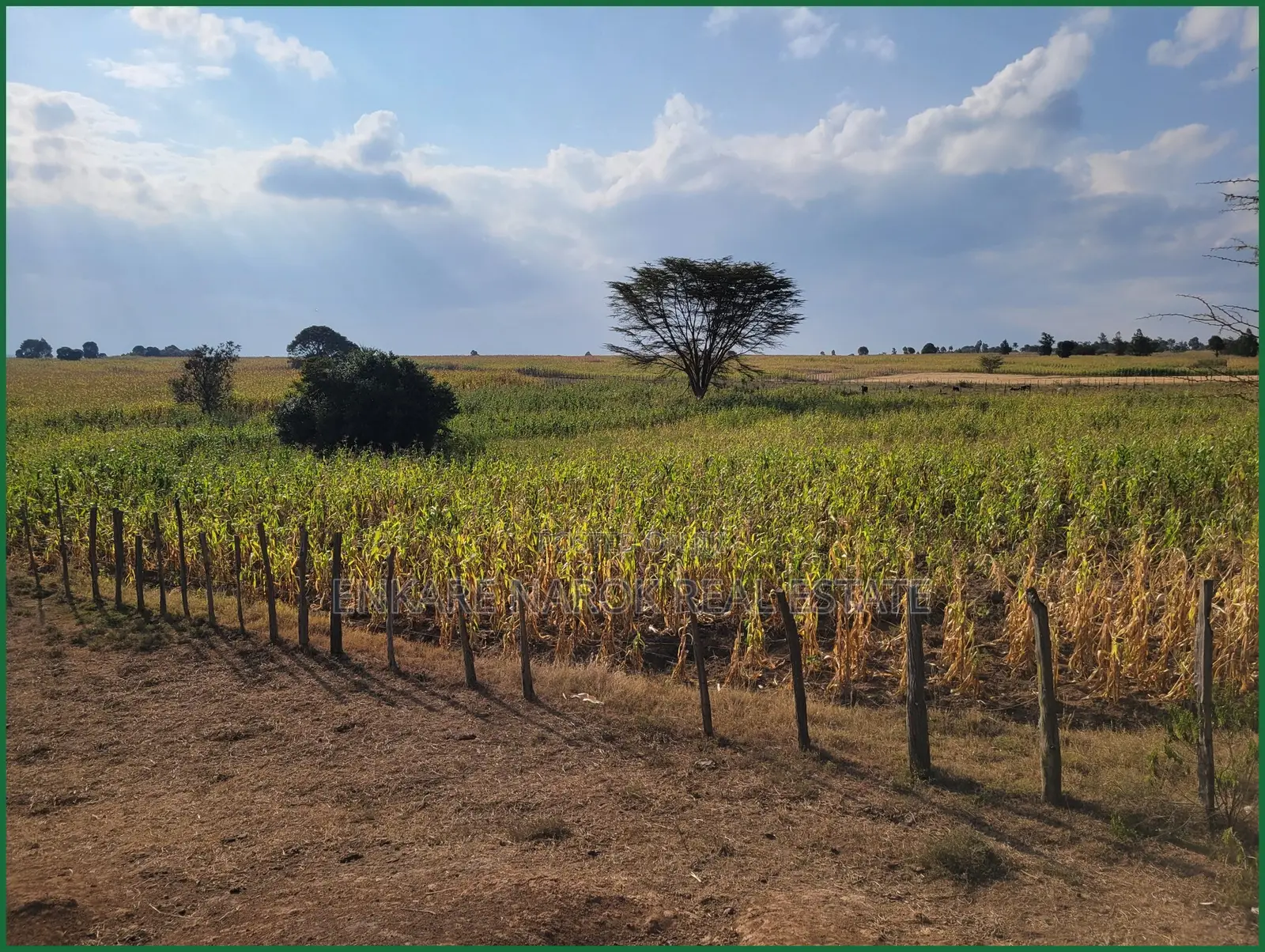 10 Acres of Fenced Agricultural Land for Sale in Olorroito, Narok