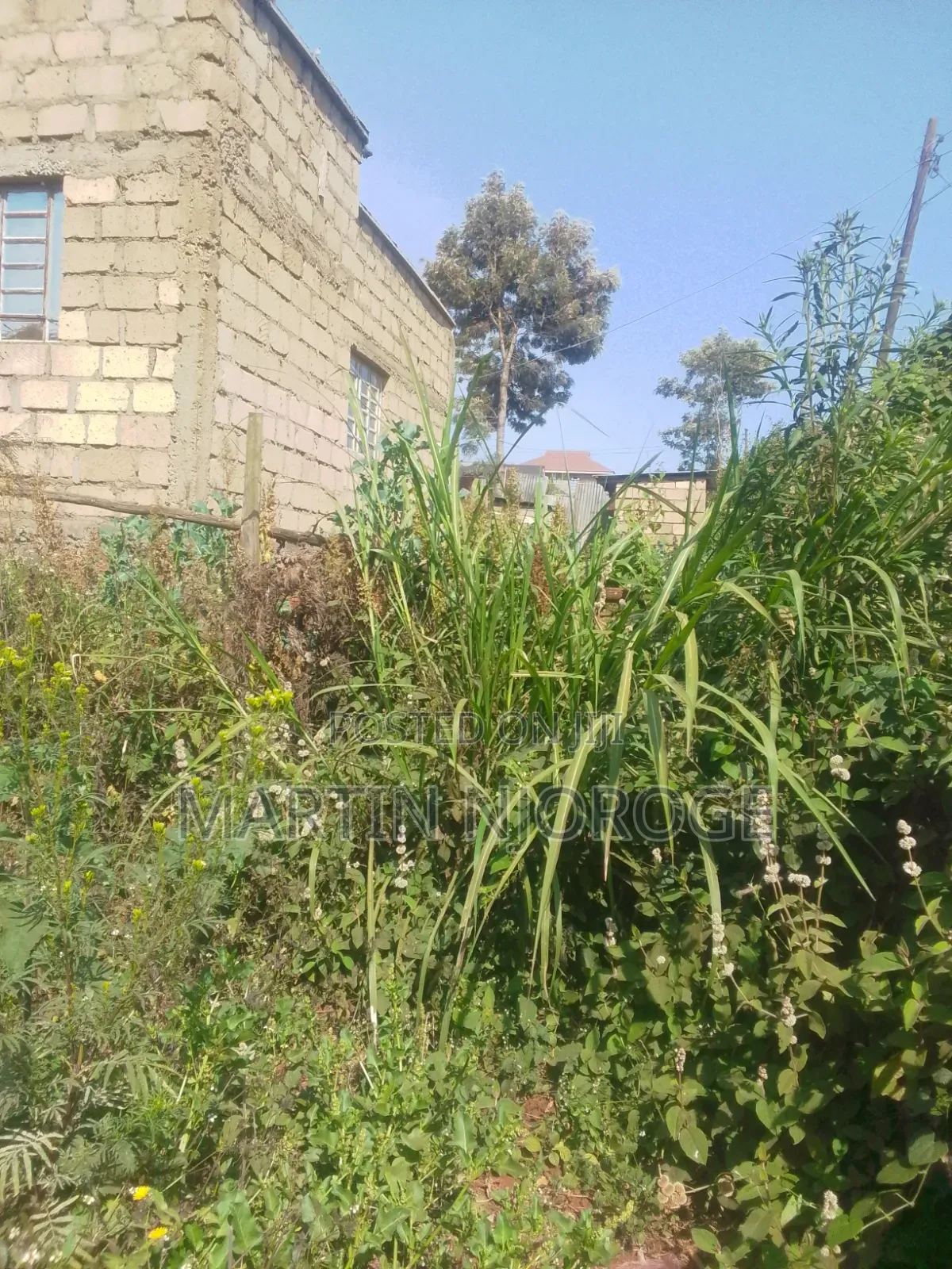 50 by 100 Kwambira