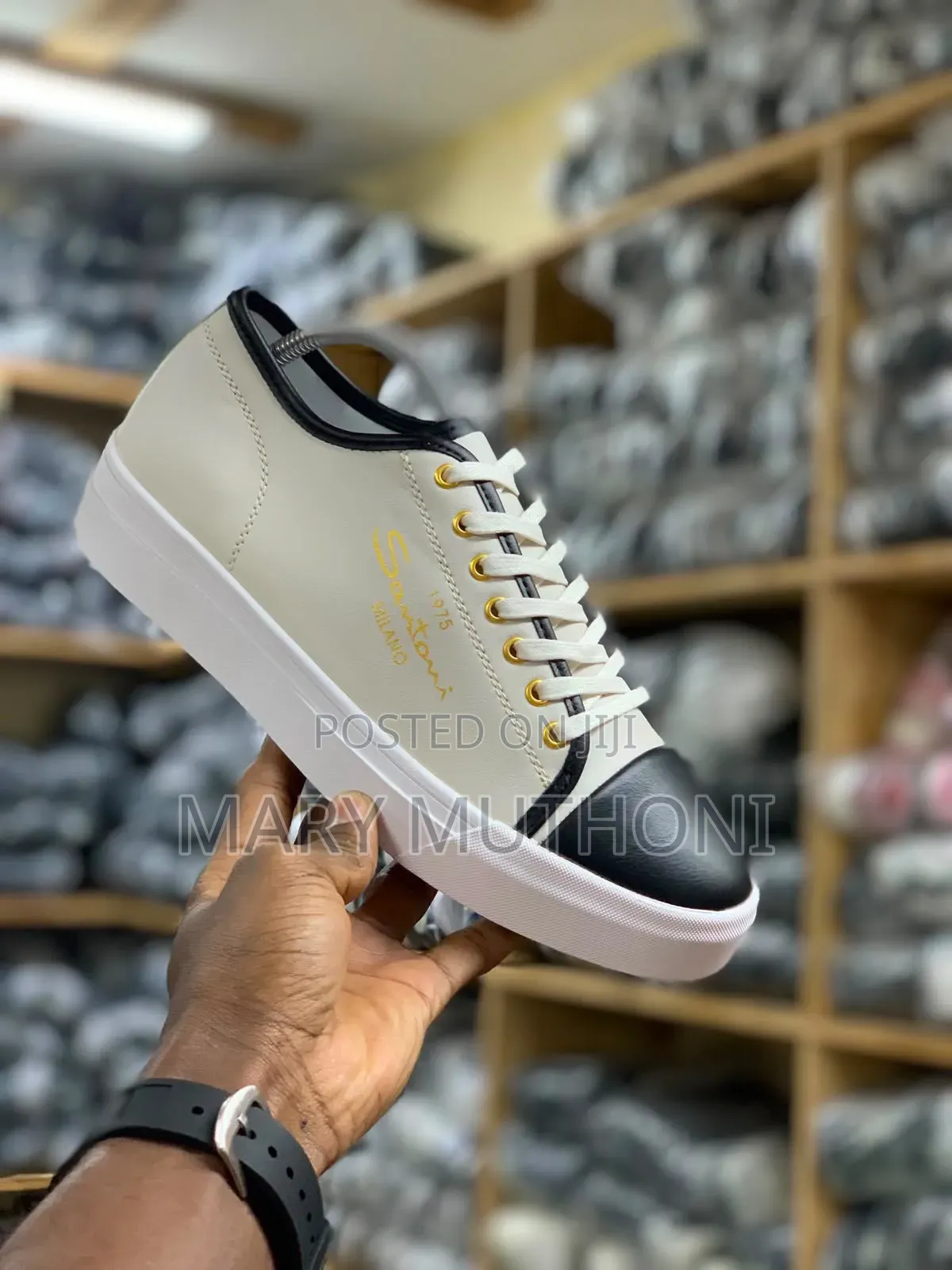 Santonial Shoes