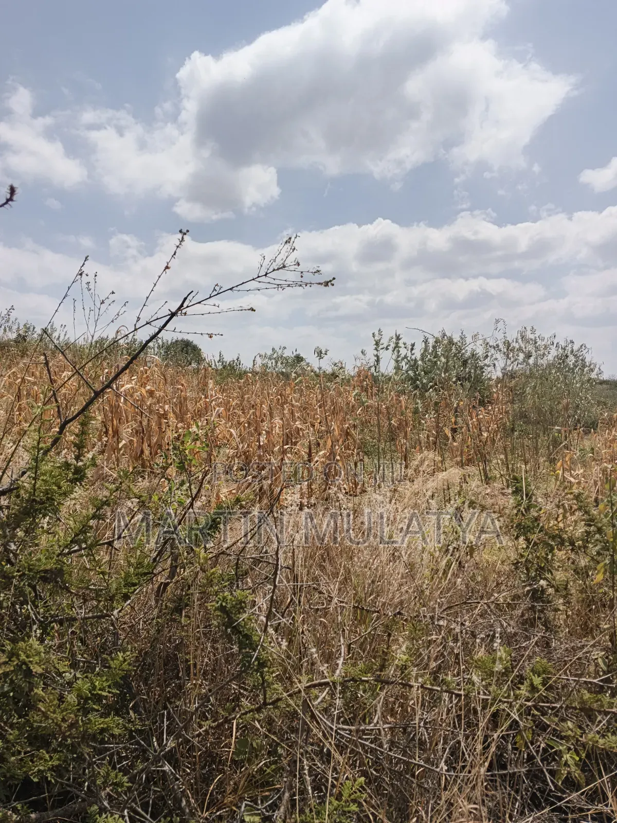 Land for Sell