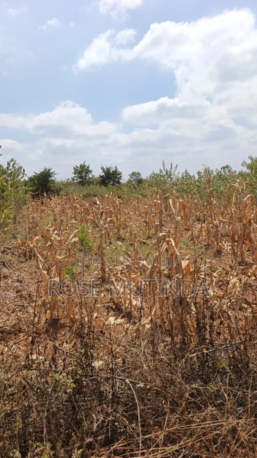 38 Acres at Kayatta /Ndunyu Sabouk