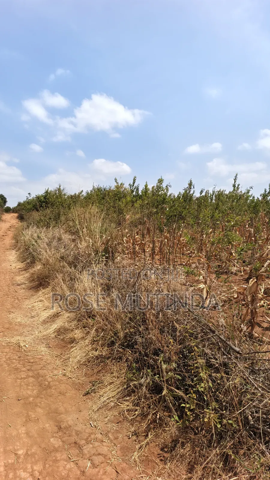 38 Acres at Kayatta /Ndunyu Sabouk