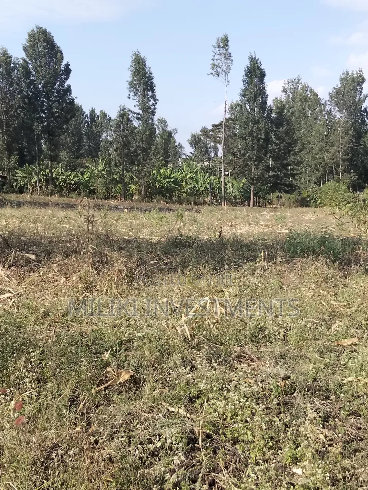 Half an Acre Piece of Land on Sale at Kenol- Kimorori