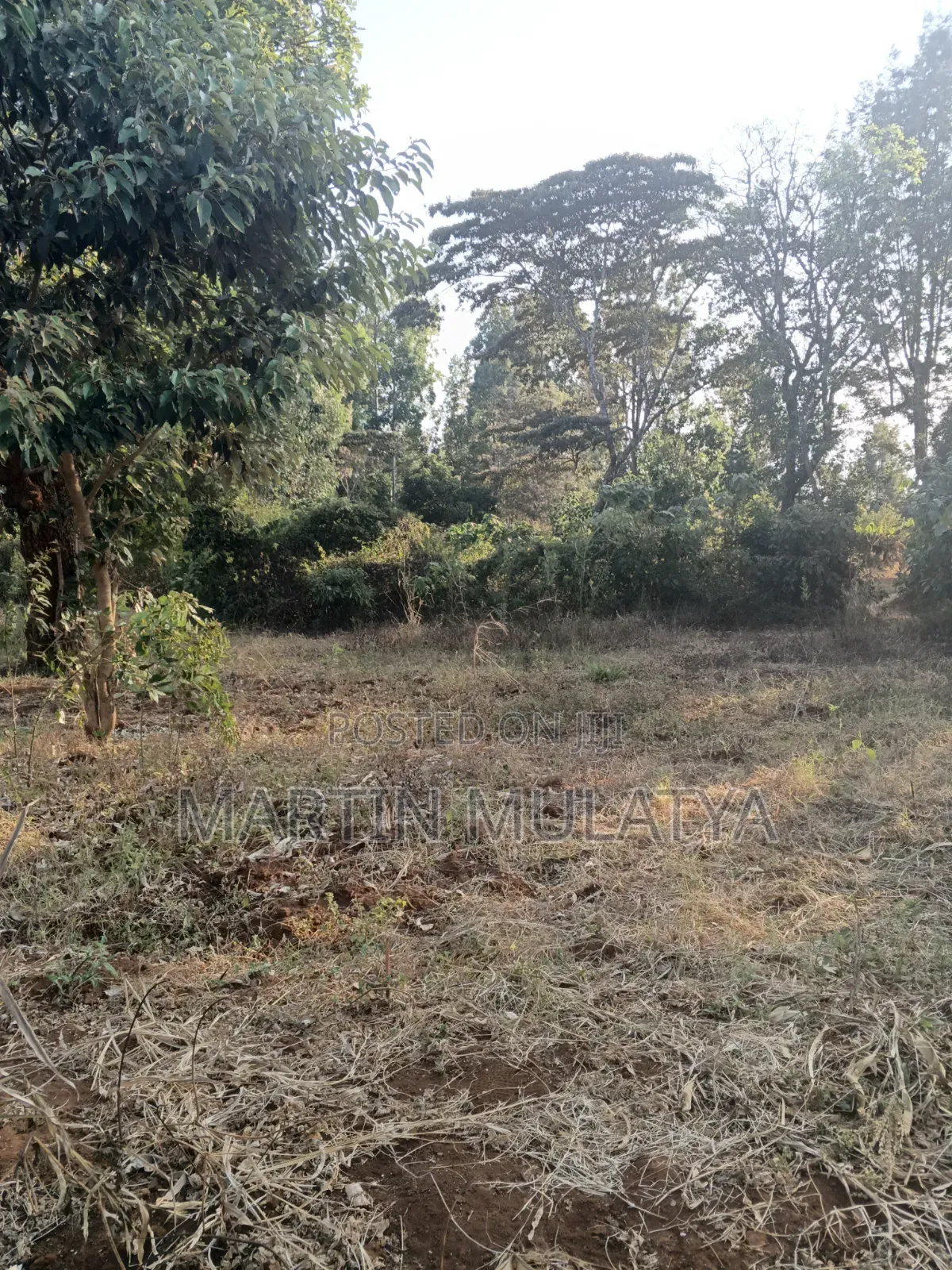 Land for Sell