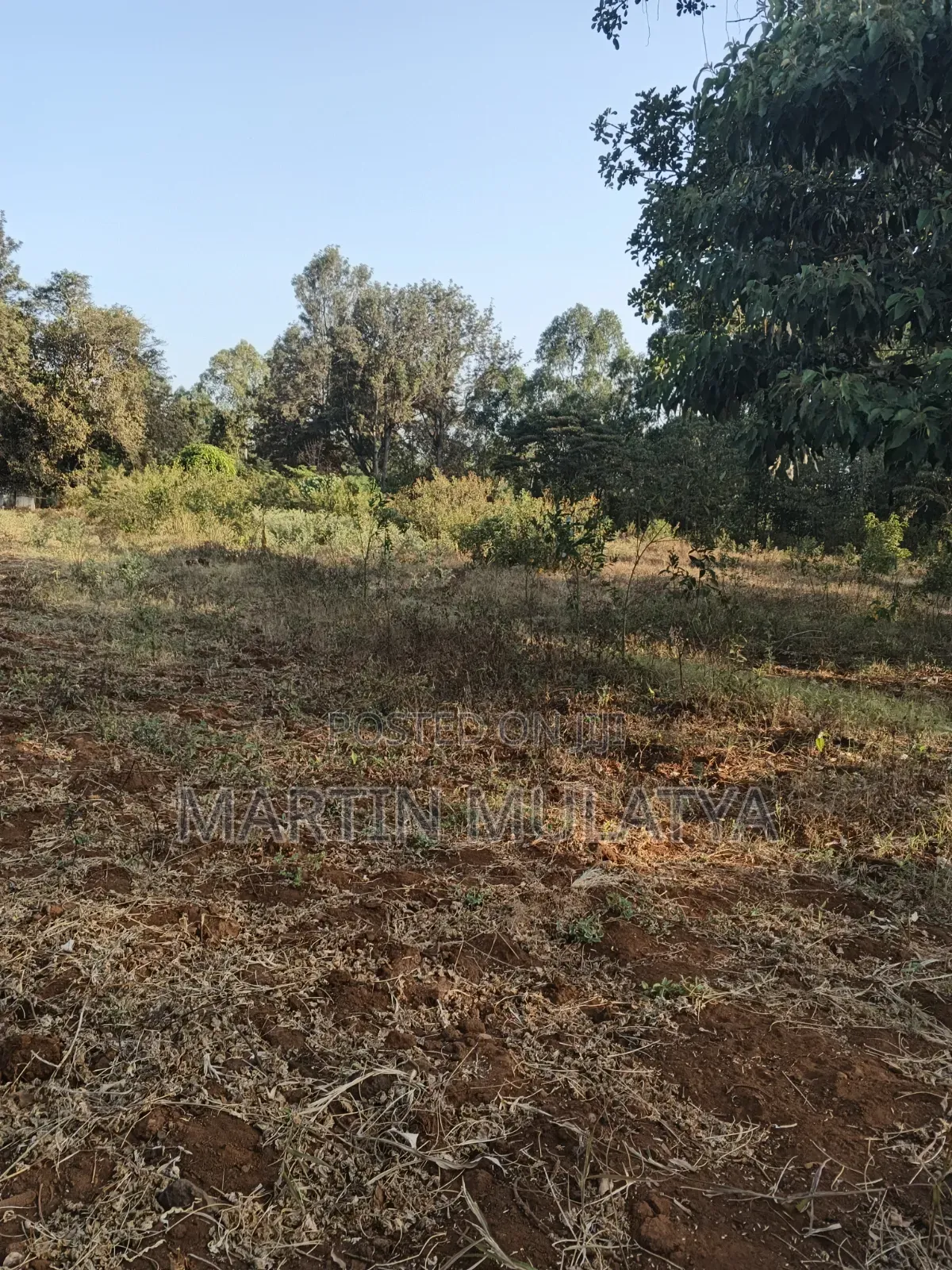 Land for Sell