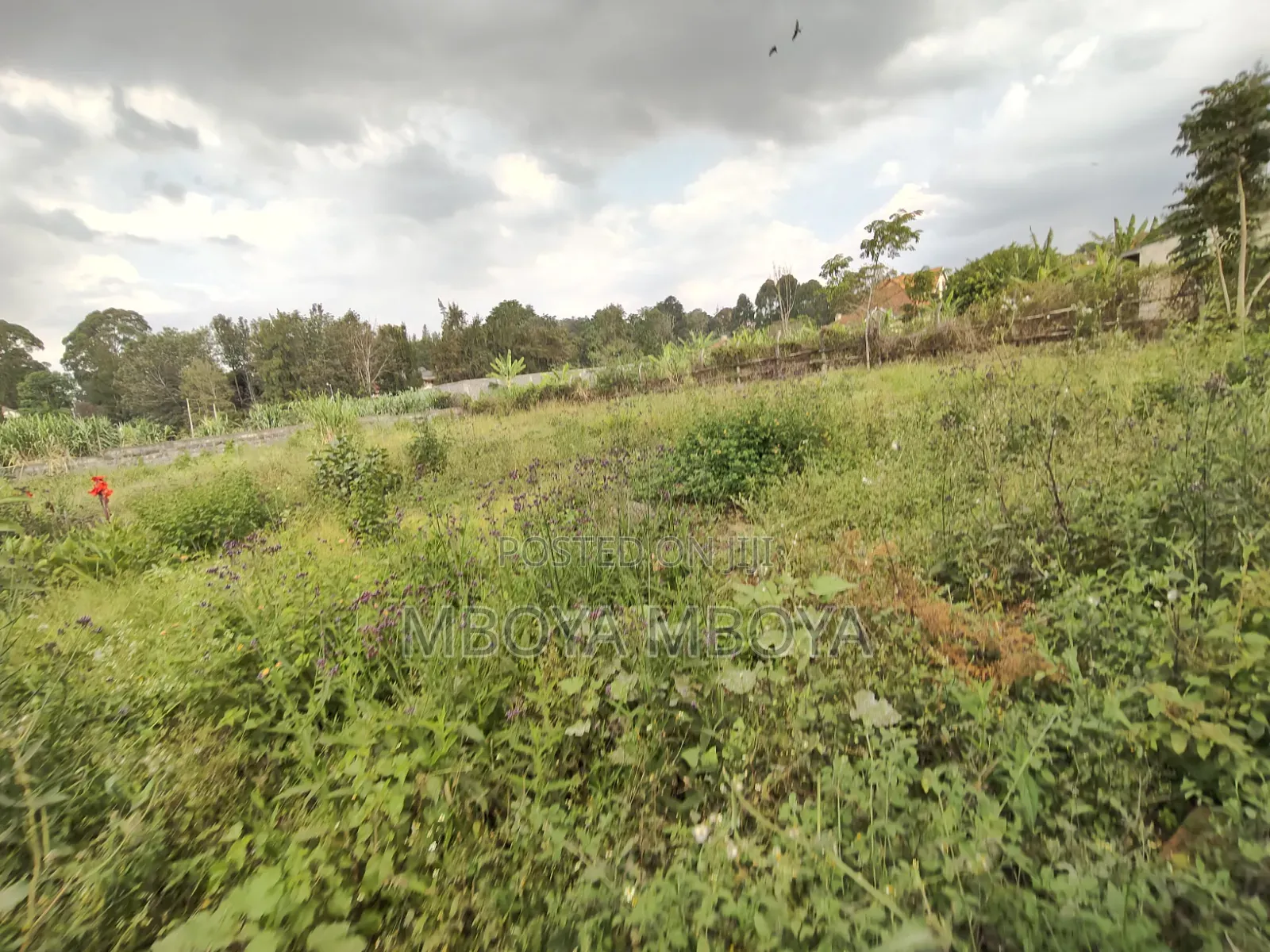 1/2 Acre Land for Sale in Loresho Ridge