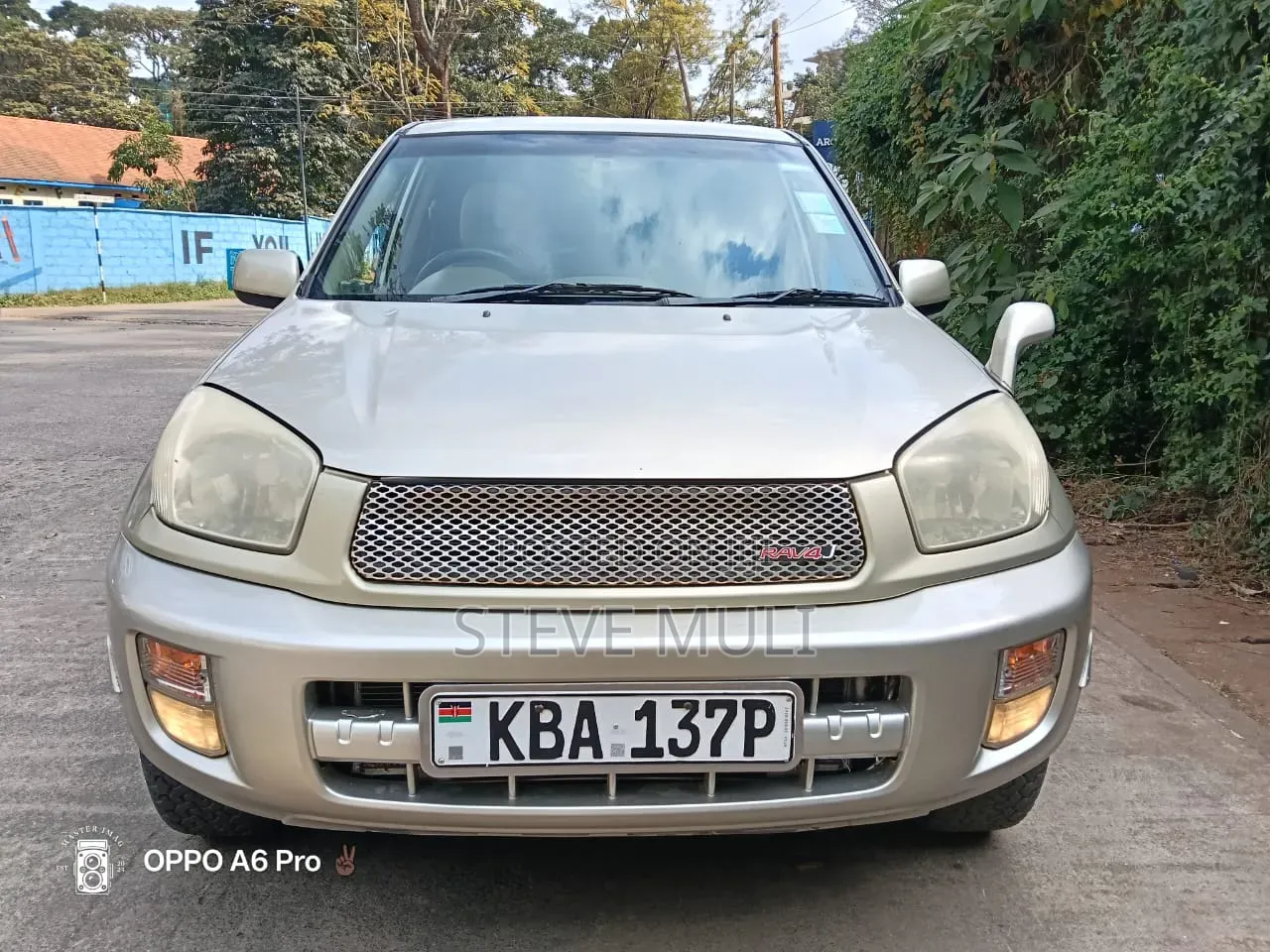 Toyota RAV4 2004 Gray