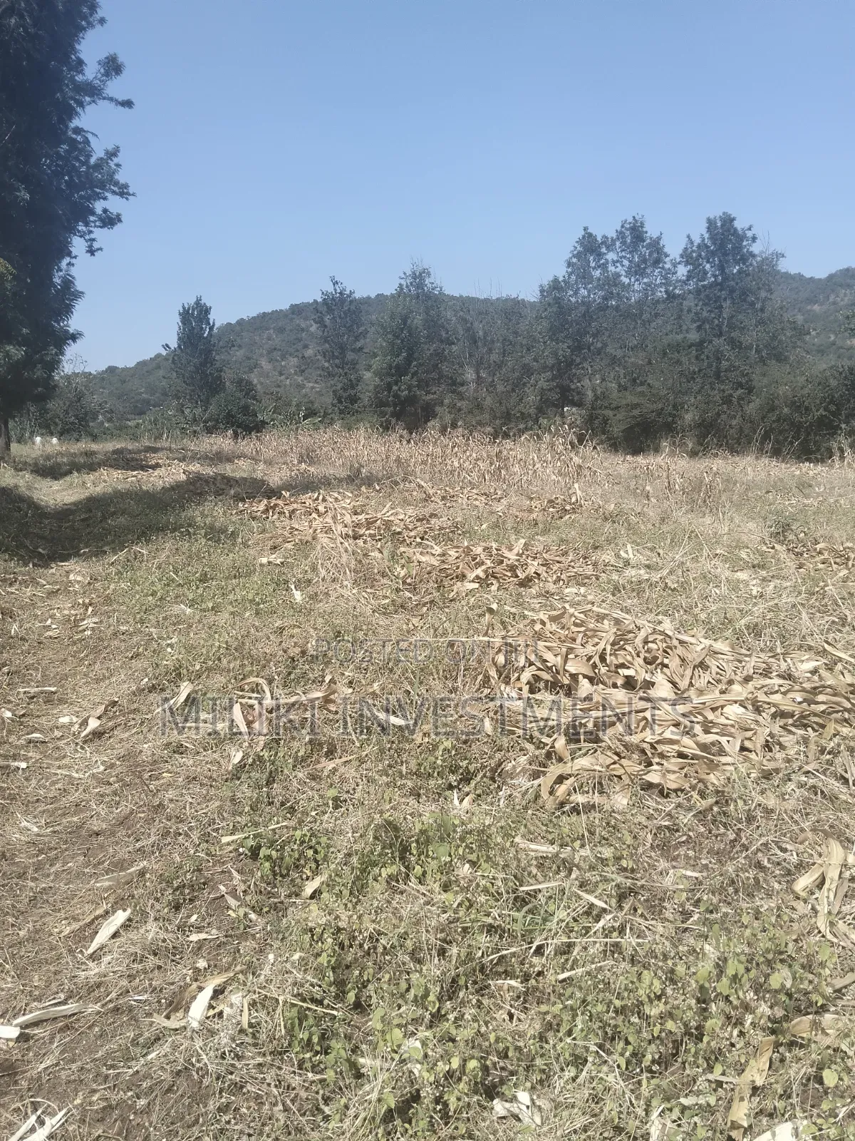 3.5 Acres of Land on Sale at Githûri Sagana Area Murang'a County