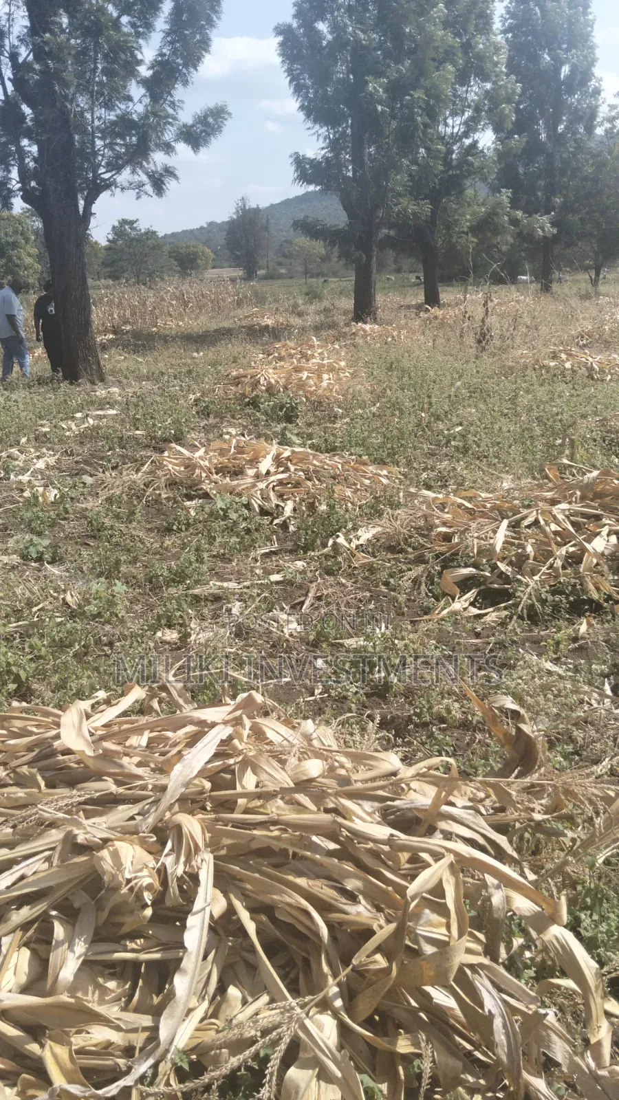 3.5 Acres of Land on Sale at Githûri Sagana Area Murang'a County