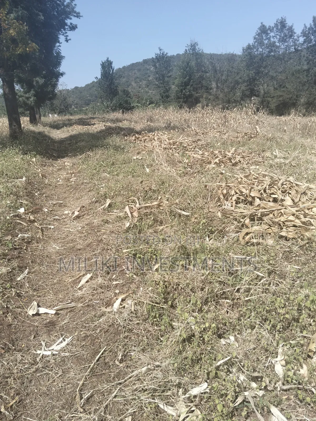 3.5 Acres of Land on Sale at Githûri Sagana Area Murang'a County