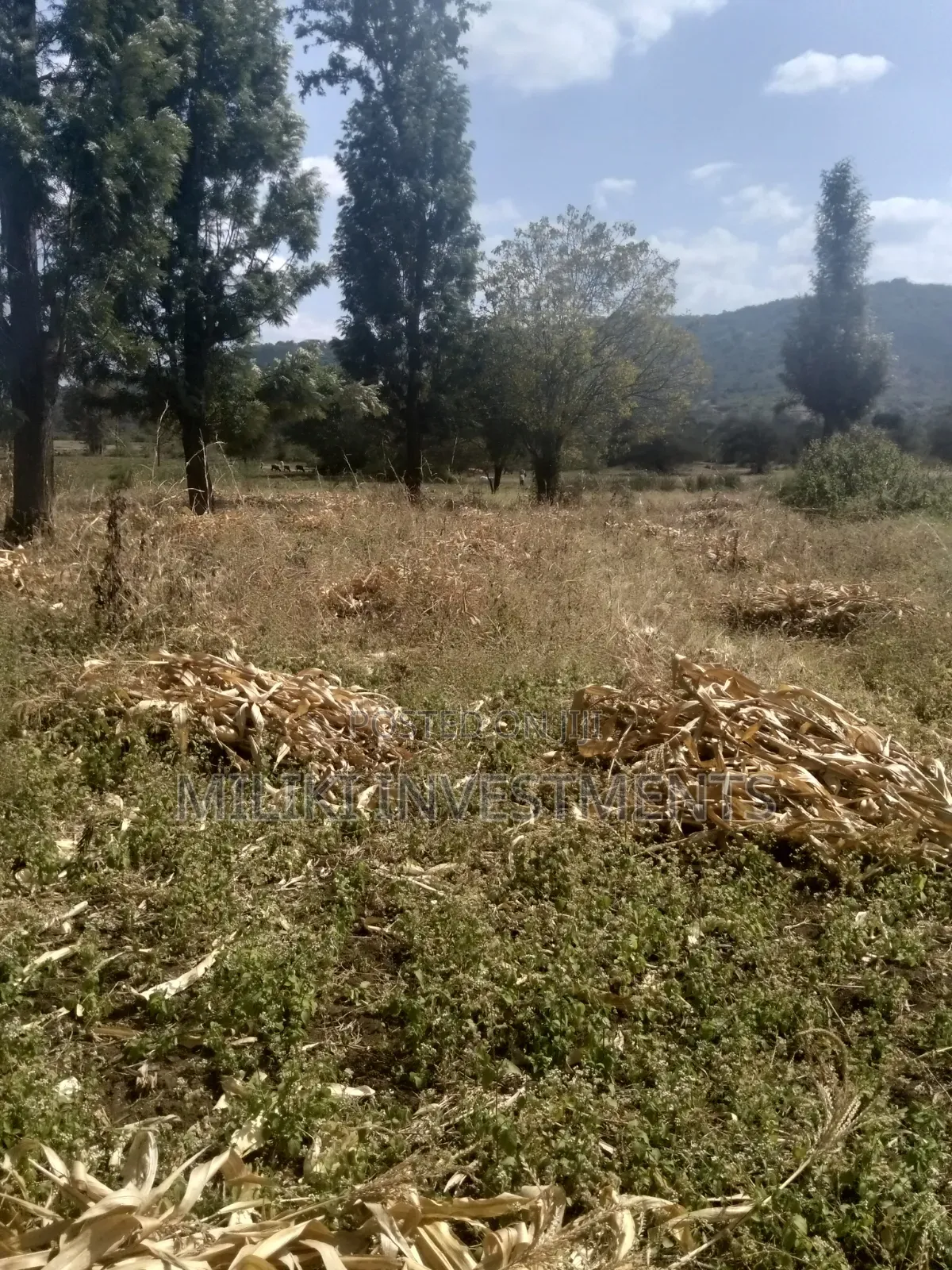 3.5 Acres of Land on Sale at Githûri Sagana Area Murang'a County