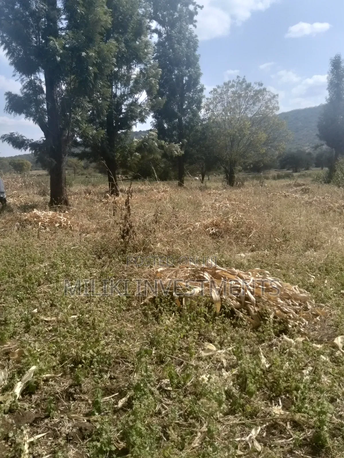 3.5 Acres of Land on Sale at Githûri Sagana Area Murang'a County