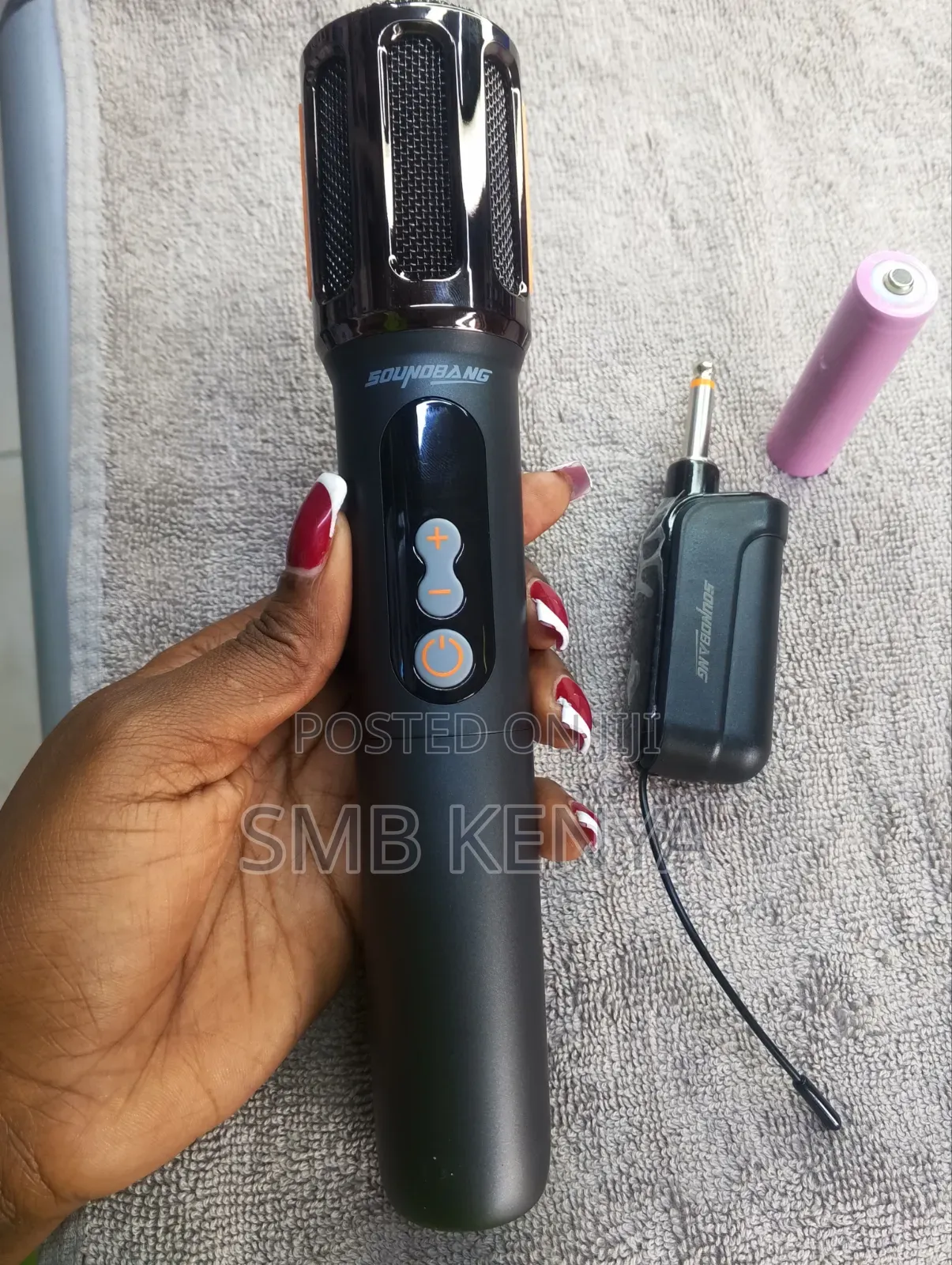 Professional Wireless Microphone With Receiver