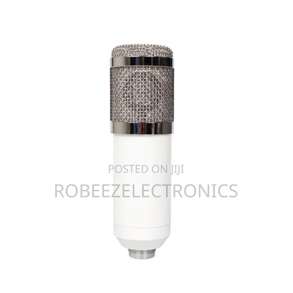 BM-800 Condenser Recording Microphone With Shock Mount - White