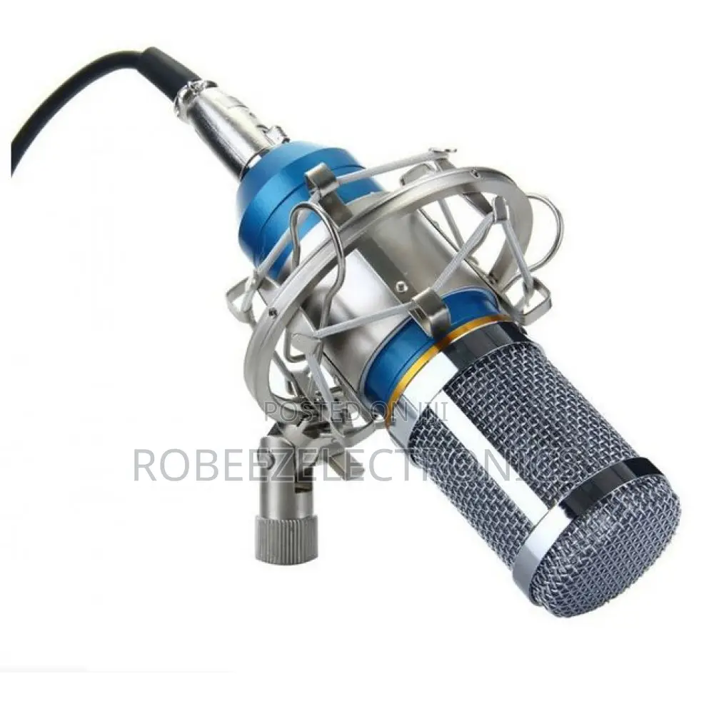 BM-800 Condenser Recording Microphone With Shock Mount - Blue