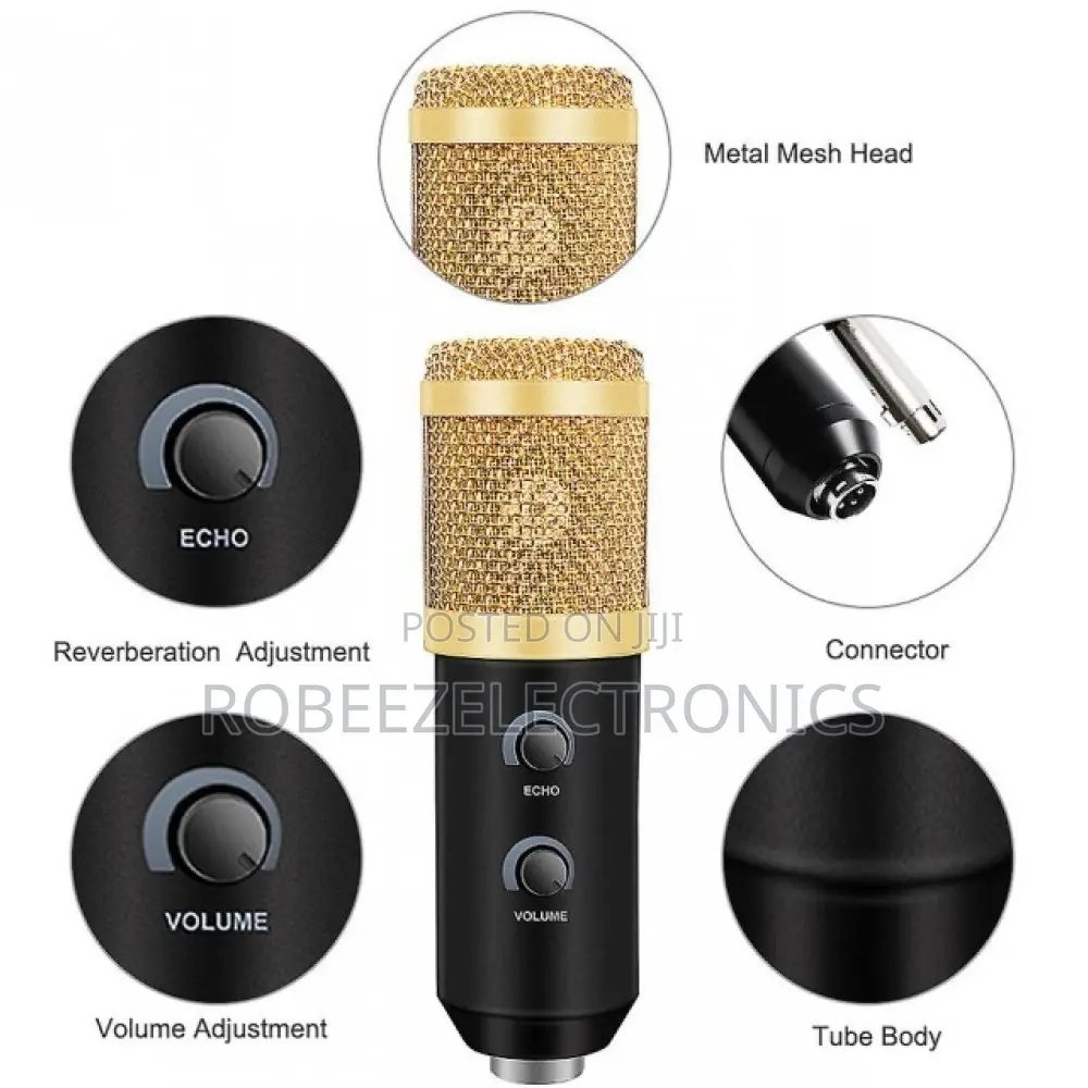 BM-100 USB Condenser Recording Microphone