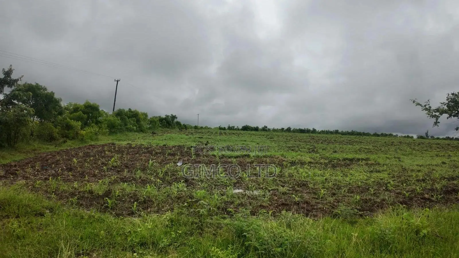 FARM Land for Sale Matuga Dongo Kundu Kwale County