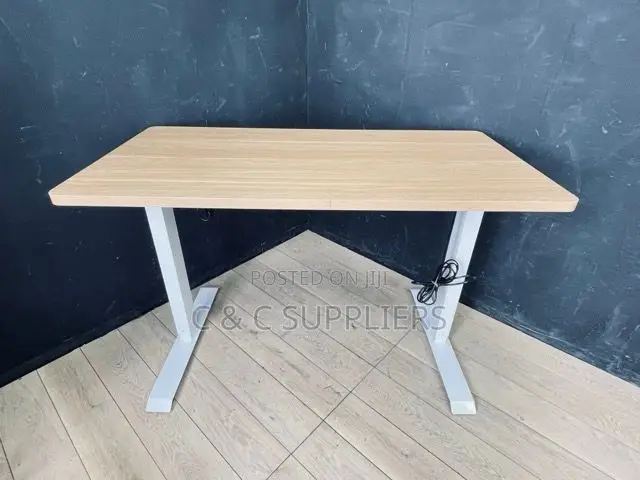 Sit Stand Electric Table