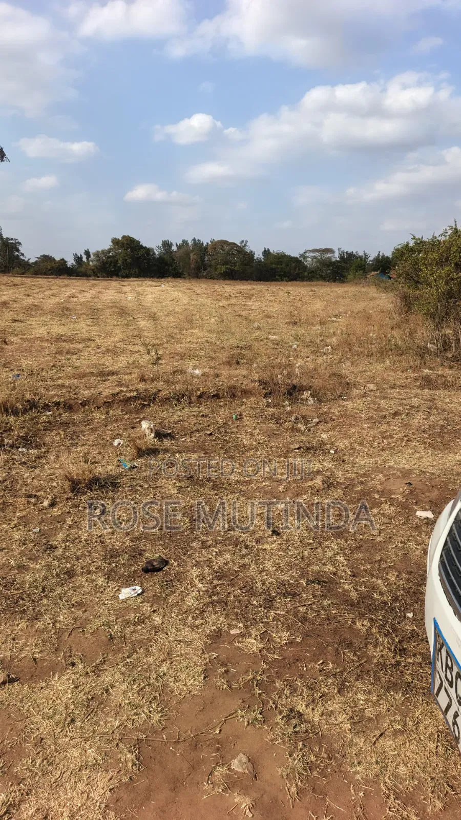 40acres at Mamba
