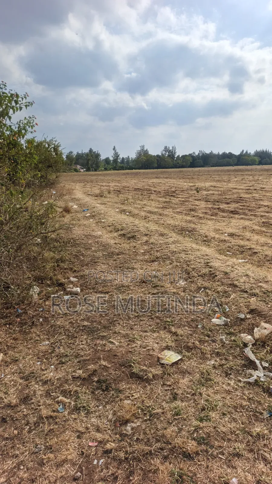 40acres at Mamba