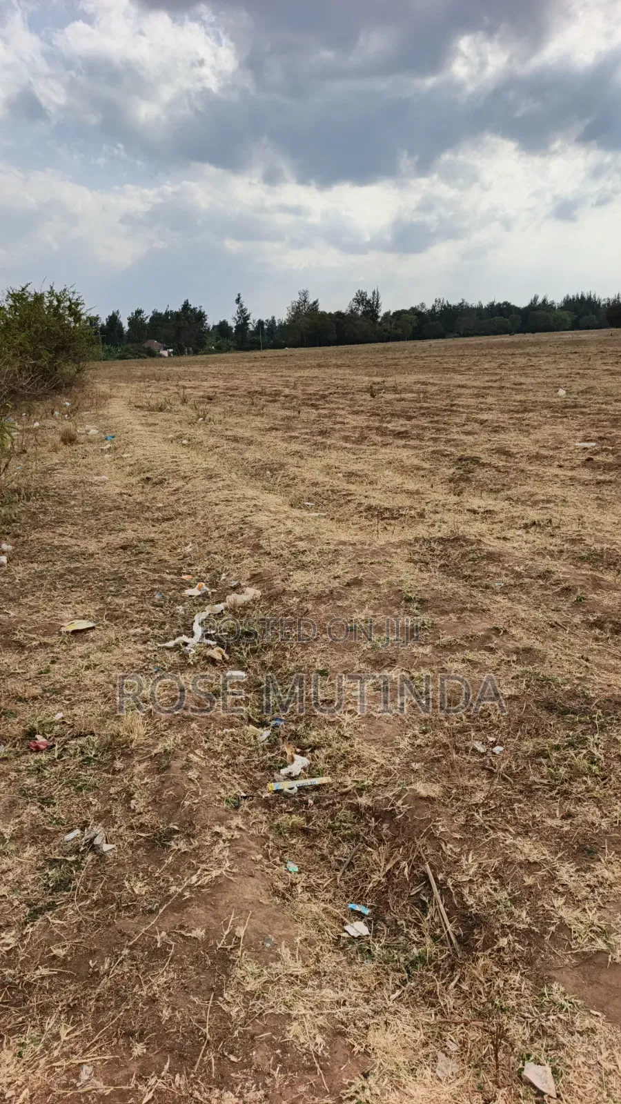 40acres at Mamba