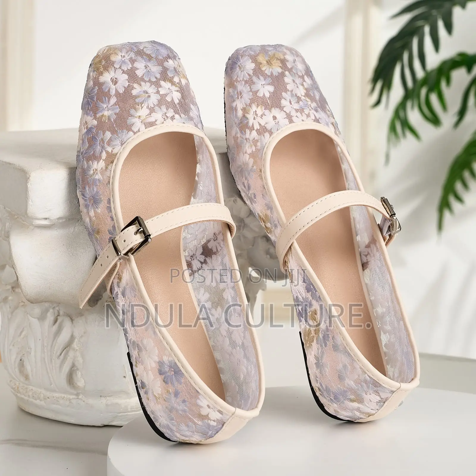 Ballerina Shoes