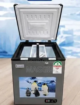 Freezer 100L Powerful Cooling