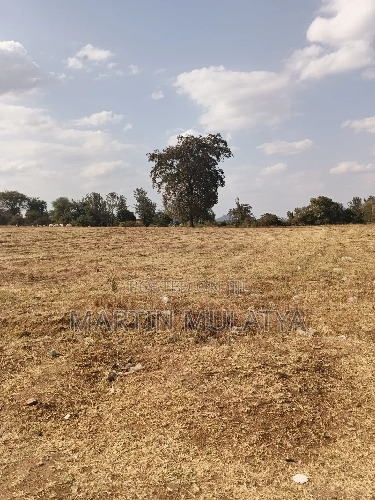 Land for Sell