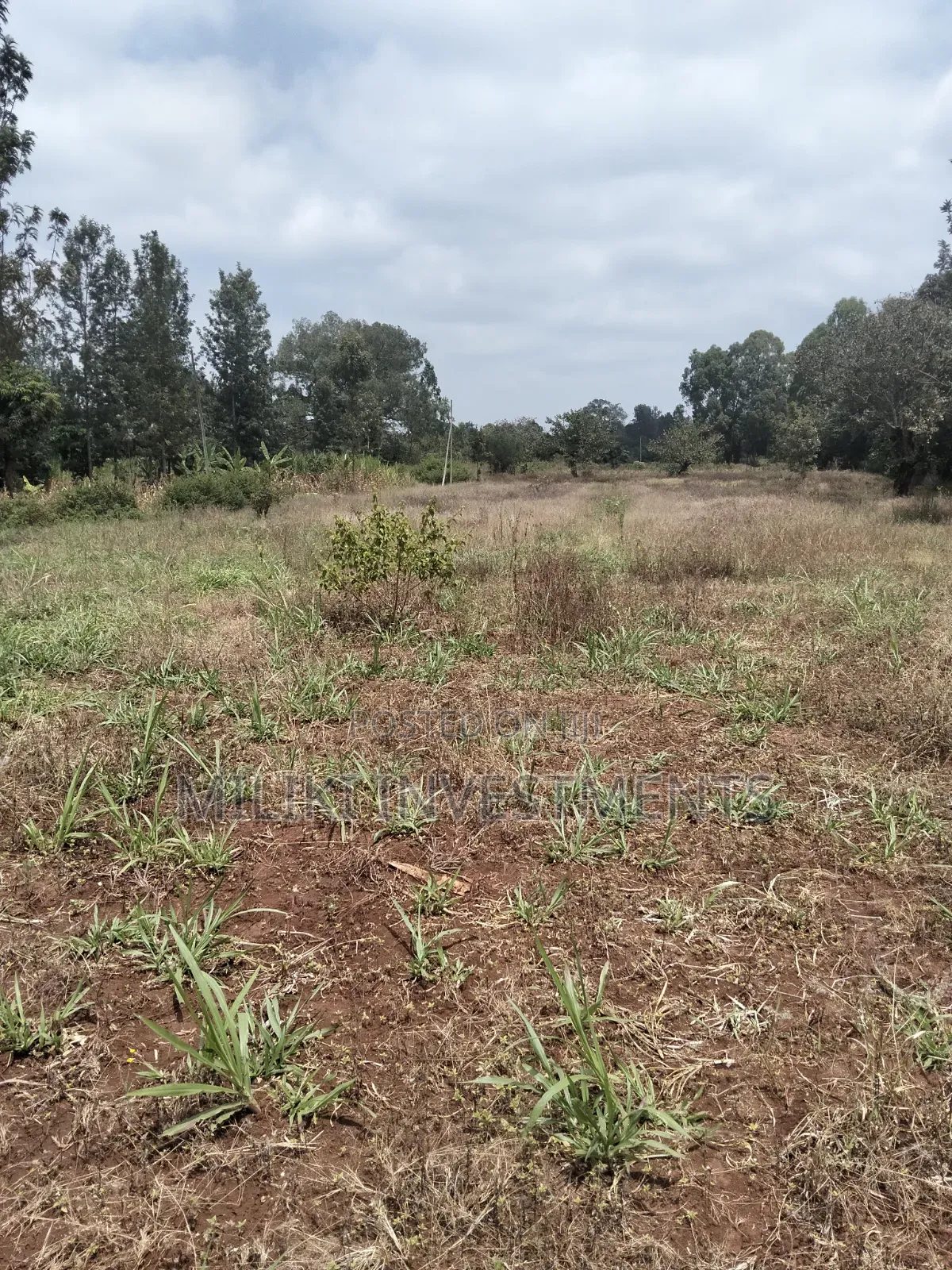 2.9 Acres Commercial Land on Sale at Kenol.