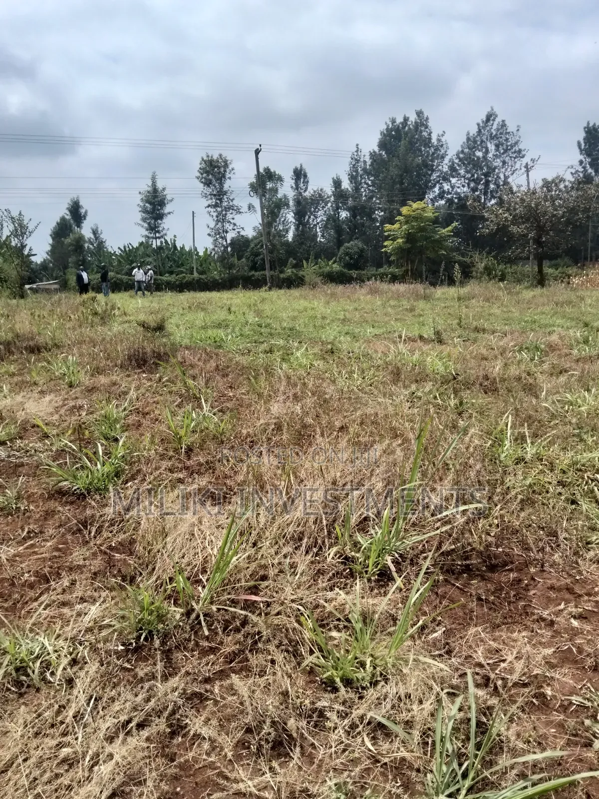 2.9 Acres Commercial Land on Sale at Kenol.