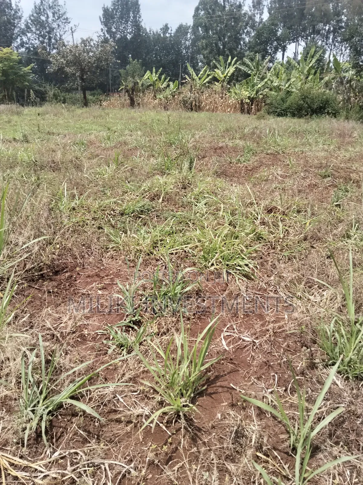 2.9 Acres Commercial Land on Sale at Kenol.