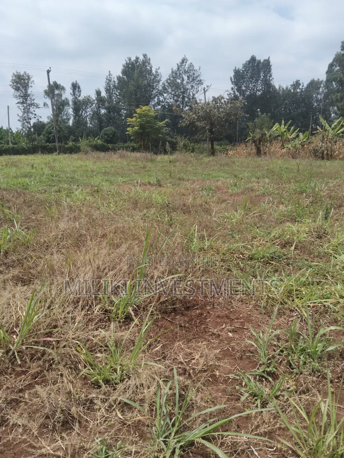 2.9 Acres Commercial Land on Sale at Kenol.
