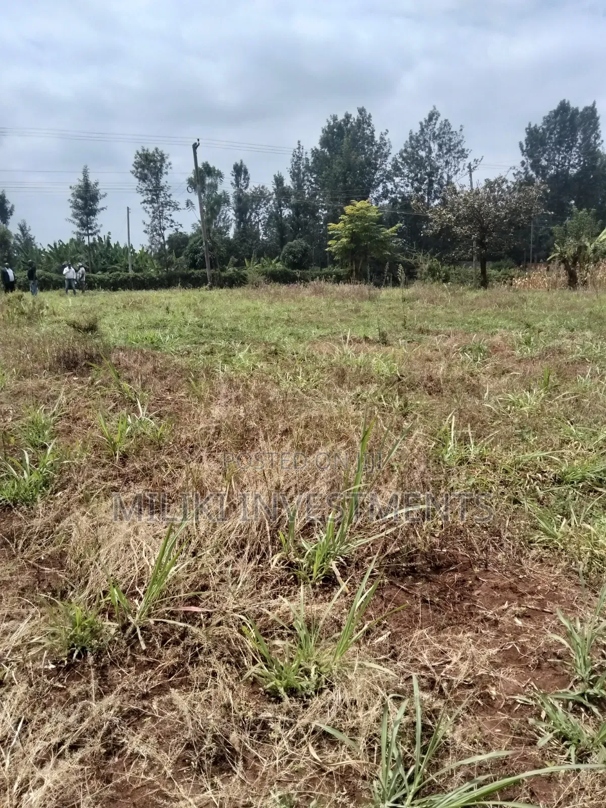 2.9 Acres Commercial Land on Sale at Kenol.
