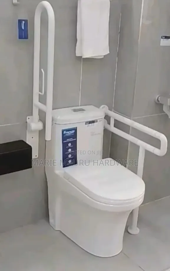 Toilet Disability