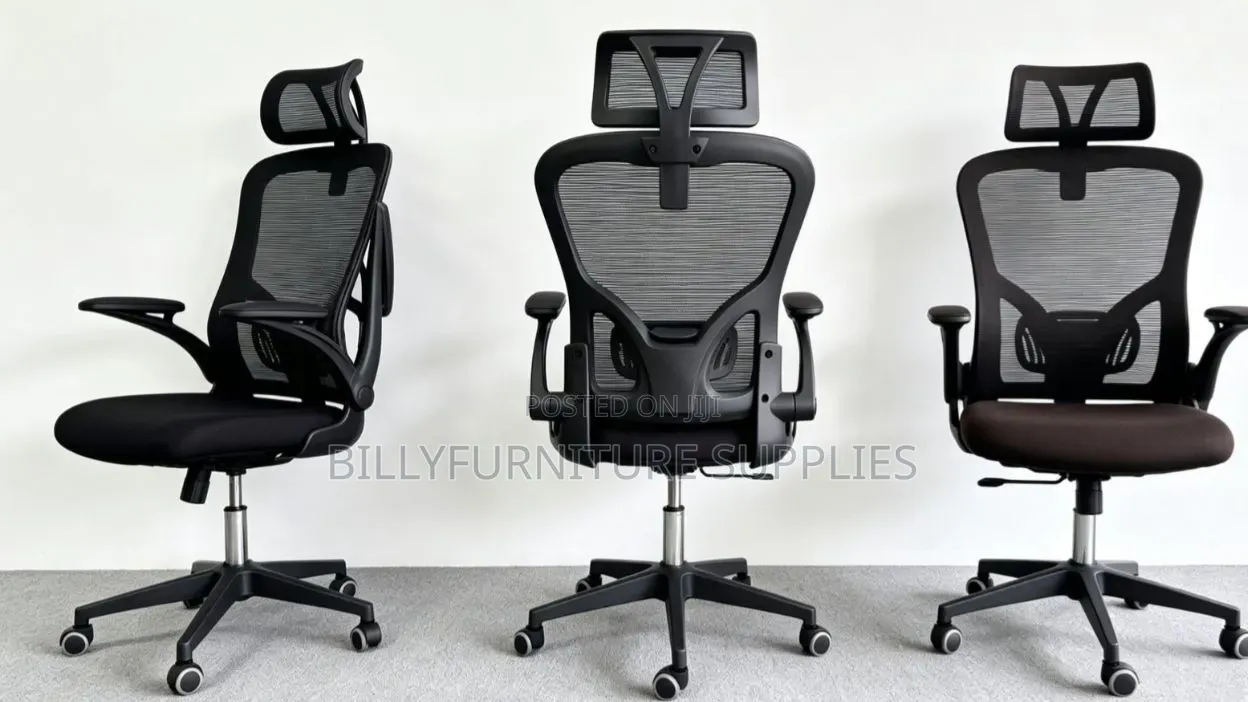 Professional Ergonomic Office Chair