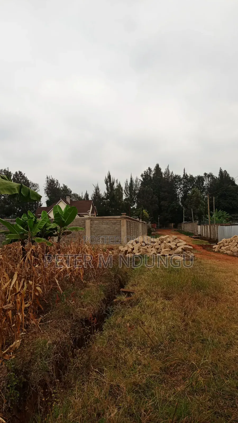 Muthithi-Njathaini Road-Kivuli Estate, Residential 1/2 Acre Plot