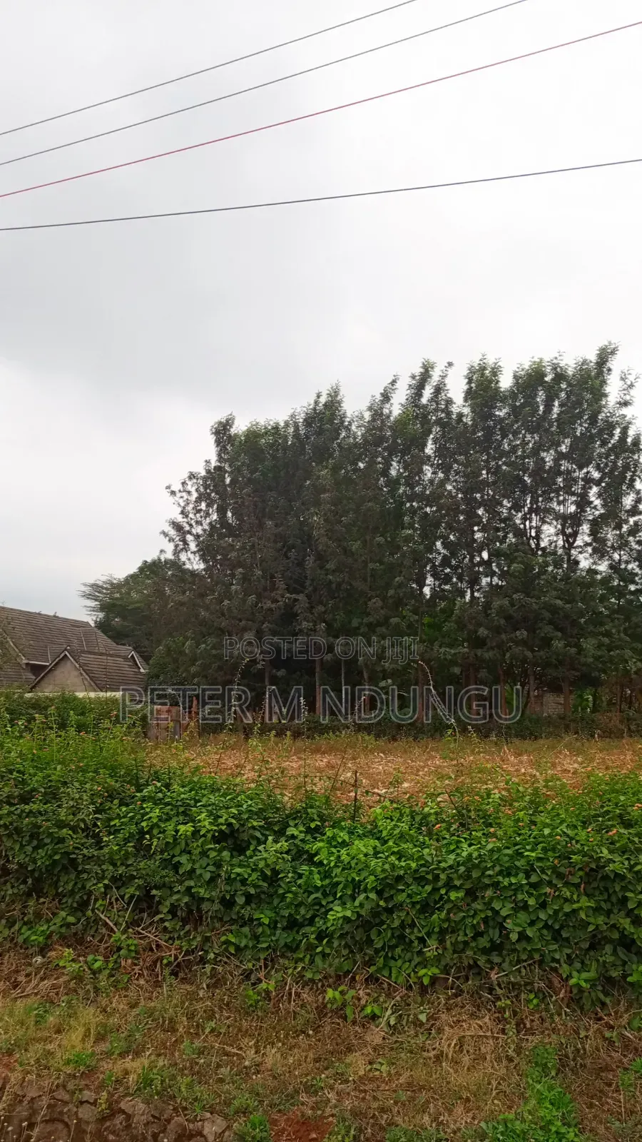 Muthithi-Njathaini Road-Kivuli Estate, Residential 1/2 Acre Plot