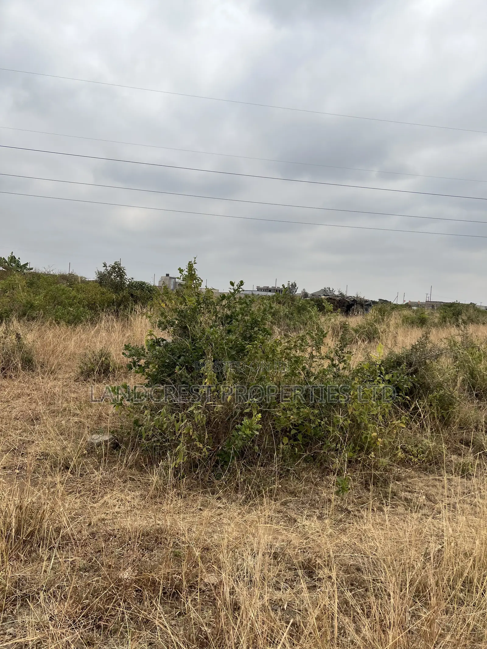 Prime 33*100 Plots for Sale in Juja, Mastore