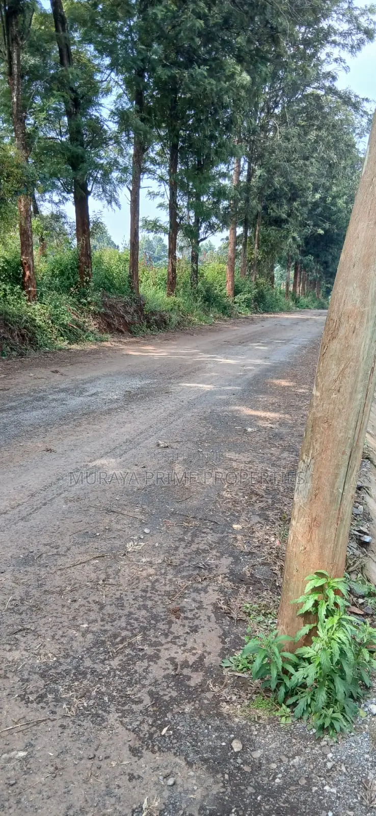 Half-Acre Prime Plot for Sale – Kerarapon Drive