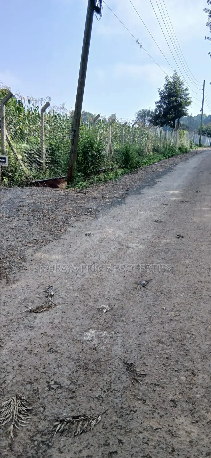 Half-Acre Prime Plot for Sale – Kerarapon Drive