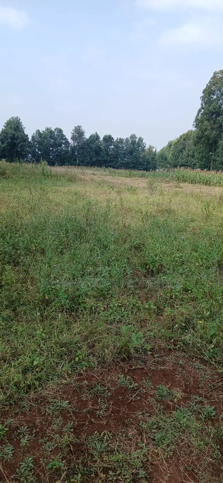 Half-Acre Prime Plot for Sale – Kerarapon Drive