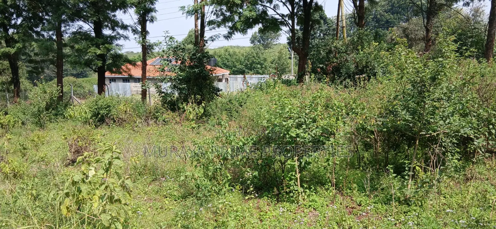Quarter Acre Prime Plot for Sale – Kerarapon Drive